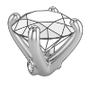 Surprise Diamond