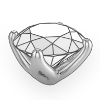 Tulip Basket