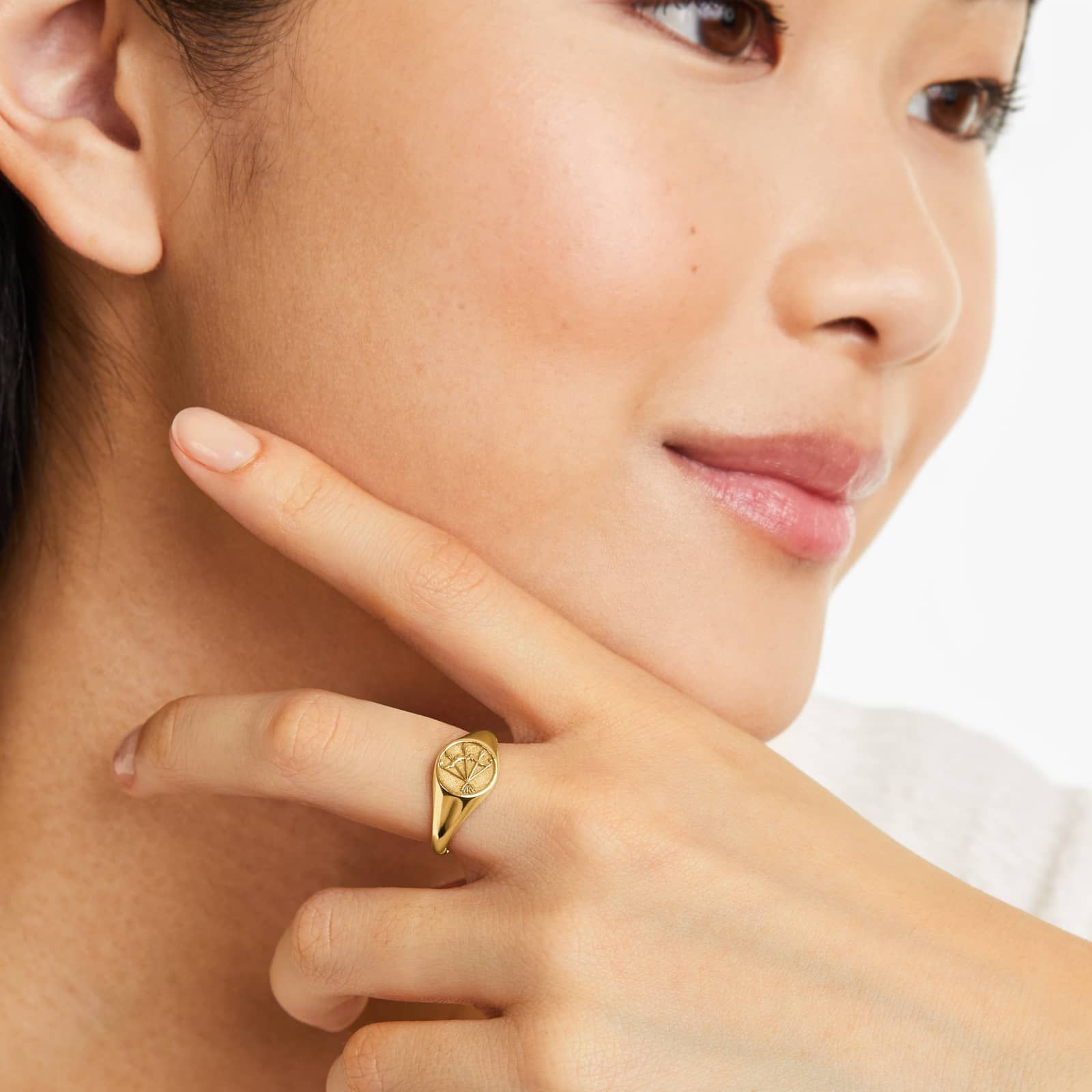 Sagittarius Zodiac Signet Ring In 14K Yellow Gold